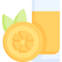 food,food and restaurant,summer,drink,lemon,beverage,juice,orange juice,cocktail,orange